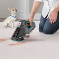 Pet Stain Removal from Rugs: A Comprehensive Overview