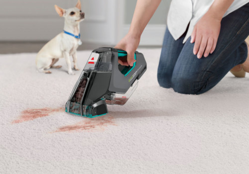 Pet Stain Removal from Rugs: A Comprehensive Overview
