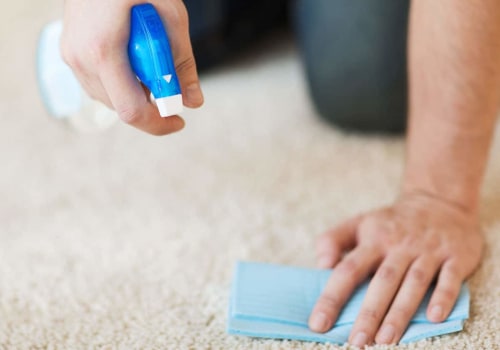 DIY Pet Stain Removal from Rugs